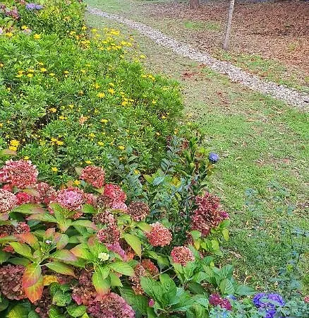 Appartamento Viver D'amor Oporto Douro River Flat Vila Nova de Gaia