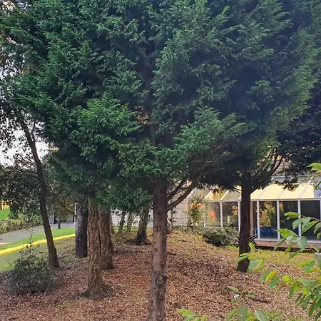 Viver D'amor Oporto Douro River Flat Appartamento Vila Nova de Gaia