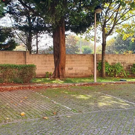 Viver D'amor Oporto Douro River Flat Appartamento *