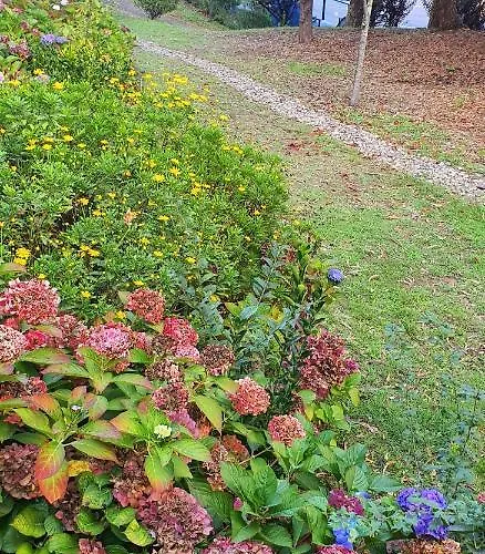 아파트 Viver D'amor Oporto Douro River Flat 빌라노바데가이아